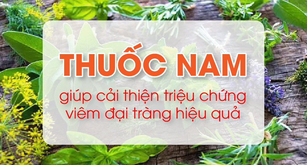 1-17231063911501149409846